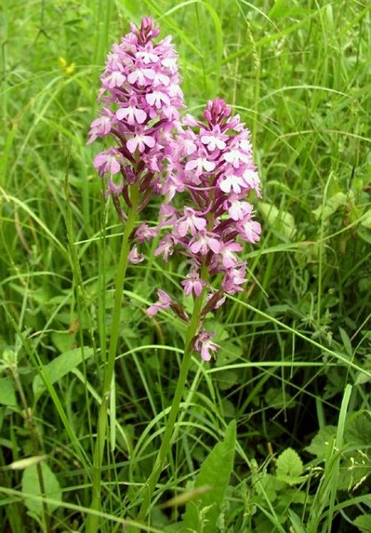 2008 06 Journée des adhérents 27